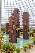 * Nomination: Inside the Ruth Cardoso Orchidarium, Villa-Lobos Park, São Paulo --Mike Peel 05:49, 4 May 2025 (UTC) * * Review needed