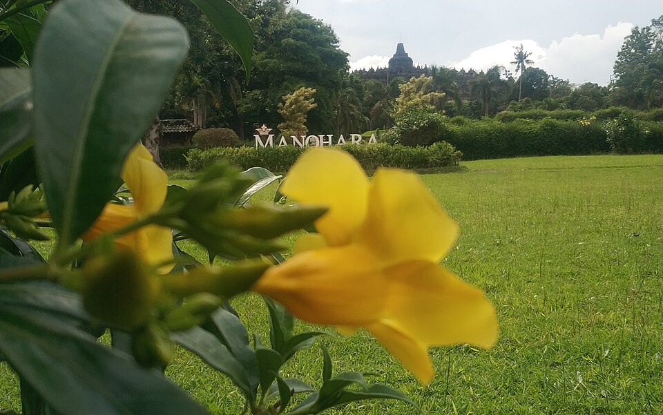 Borobudur Temple Park, Central Java, Indonesia