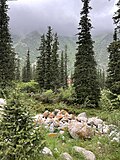 * Nomination: Ala Archa gorge. Chuy region, Kyrgyzstan. By User:Baydastann --Красный 05:57, 27 May 2025 (UTC) * * Review needed