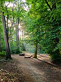 * Nomination: Grove in the Uppenberg district, Münster, North Rhine-Westphalia, Germany --XRay 06:23, 25 May 2025 (UTC) * * Review needed