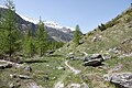 * Nomination Path in Peisey-Nancroix (Savoie, France). --Gzen92 05:26, 10 May 2025 (UTC) * Promotion  Support Good quality. --Tournasol7 05:45, 10 May 2025 (UTC)
