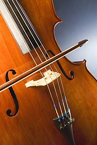 Study of a three-quarter size cello