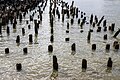 * Nomination: The remains of Pier 55, New York City --Mike Peel 03:07, 31 May 2025 (UTC) * * Review needed
