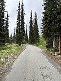 * Nomination: Road in Ala Archa gorge. Chuy Region, Kyrgyzstan. By User:Baydastann --Красный 05:57, 27 May 2025 (UTC) * * Review needed