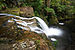 Spout Falls, Liffey, Tasmania.jpg