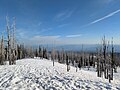 * Nomination Suncupped snow in a fire-scarred forest on Mount Adams --Buidhe 18:21, 10 May 2025 (UTC) * Promotion  Support Good quality. --Jakubhal 19:58, 10 May 2025 (UTC)