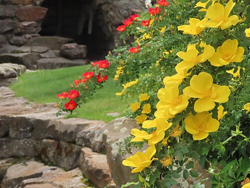 Spring Bloom at Boise Depot
