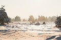 * Nomination: A snowy nature reserve Südliche Fröttmaninger Heide with freezing fog --FlocciNivis 16:59, 8 May 2025 (UTC) * * Review needed