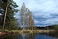 * Nomination: Pes' river downstream of Mintsy settlement (Novgorod Oblast of Russia) --Vsatinet 11:51, 11 May 2025 (UTC) * * Review needed