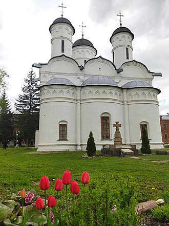 Red tulip in front of the 16th-century cathedral