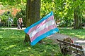 * Nomination Trans pride flag at the 2025 Hof pride parade --PantheraLeo1359531 19:25, 30 May 2025 (UTC) * Promotion  Support Good quality. --Jakubhal 05:23, 31 May 2025 (UTC)
