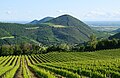 * Nomination View from Via Sottovenda, Euganean Hills. --Kallerna 21:31, 30 May 2025 (UTC) * Promotion  Support Good quality. --Sebring12Hrs 23:10, 30 May 2025 (UTC)  Support QI for me. --Crisco 1492 23:12, 30 May 2025 (UTC)
