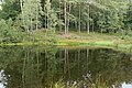* Nomination: Hamburg, nature reserve 701, WDPA 4384 'Fischbeker Heide', Kuhteich in Fischbek Valley --KaiBorgeest 23:28, 24 May 2025 (UTC) * * Review needed