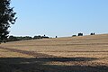 * Nomination: Hamburg-Sinstorf, landscape protection area HH-2021, WDPA 322905 'Marmstorfer Flottsandplatte', St. Maria & St. Simona behind --KaiBorgeest 22:51, 24 May 2025 (UTC) * * Review needed