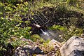 * Nomination Culvert in the northern part of the Zeilberg stone experience trail near Maroldsweisach --Plozessor 03:19, 31 May 2025 (UTC) * Promotion  Support Good quality. --Rjcastillo 03:43, 31 May 2025 (UTC)
