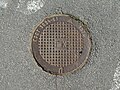 * Nomination Manhole cover in Saint Petersburg, Russia. --Екатерина Борисова 02:10, 31 May 2025 (UTC) * Promotion  Support Good quality. --Tagooty 02:26, 31 May 2025 (UTC)
