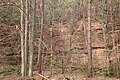 * Nomination Keiner quarry SE of Oberbessenbach, sandstone quarry, geotope 671A024, object ID 6021GT000008 --KaiBorgeest 21:47, 4 May 2025 (UTC) * Promotion  Support Good quality. --FlocciNivis 13:07, 10 May 2025 (UTC)