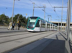 Trambesòs of Barcelona