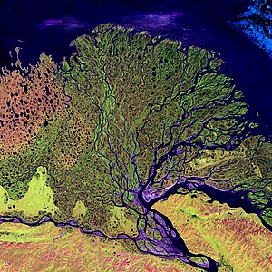 Lena River Delta