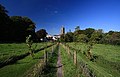 Cattistock Church from the public footpath - geograph.org.uk - 981544.jpg
