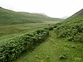 Looking down Mosedale - geograph.org.uk - 514838.jpg