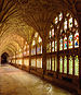 The Cloisters of Gloucester Cathedral.jpg