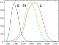 Cone response curves