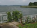 Großer Teich Torgau