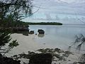 Aldabra Atoll-108996.jpg