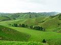 Taranaki hills.jpg