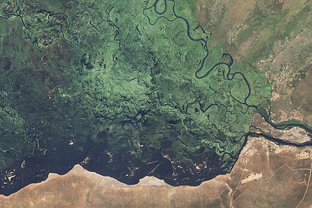 Zambezi Flood Plain, Namibia