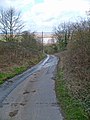 The Road down to Alkborough Flats - geograph.org.uk - 352110.jpg