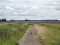 Lane near West Butterwick - geograph.org.uk - 494342.jpg