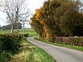 The road to Hareby, Old Bolingbroke - geograph.org.uk - 604904.jpg