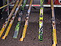 Baiersbronn 2008 jumping skis.JPG