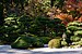 Portland Japanese Garden October 2019 004.jpg