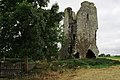 Castles of Munster, Tombrickane, Tipperary (2) - geograph.org.uk - 1542046.jpg