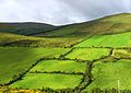 Landscape of the Ring of Kerry.JPG