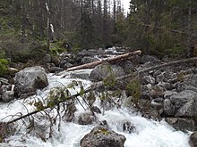 River in the Tatra mountains 1994 1.jpg