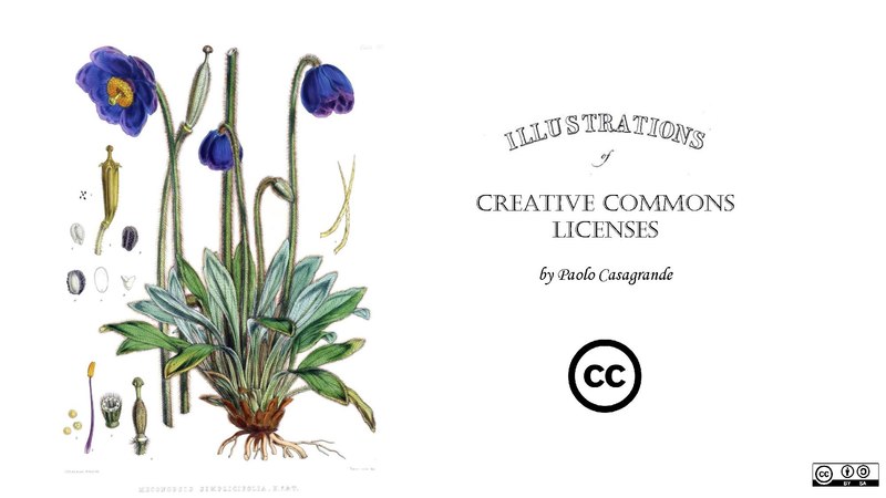 File:Creative commons licenses illustrations.pdf