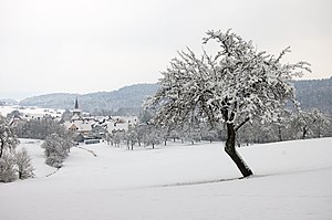 Egenhausen 20080323 SK 0002.jpg