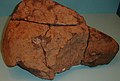 Found in the Antelope Valley, California in April 1948, Neenach Meteorite (cropped).JPG