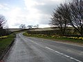 Hill Ahead with Daffodils - geograph.org.uk - 753427.jpg