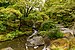 Seattle Japanese Garden June 2018 005.jpg