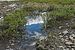 Puddle from melted ice near edge of Firth River above Joe Creek confluence, Ivvavik National Park, YT.jpg