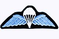Bangladesh Army Basic Parachutist badge.jpeg