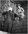 "... women employed at Savannah Quartermaster Depot, Savannah, Georgia.", ca. 1943 - NARA - 522887.tif