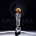 Awards & Trophies by Crystal Corp.jpg