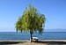 Lake Ohrid near city Ohrid.jpg