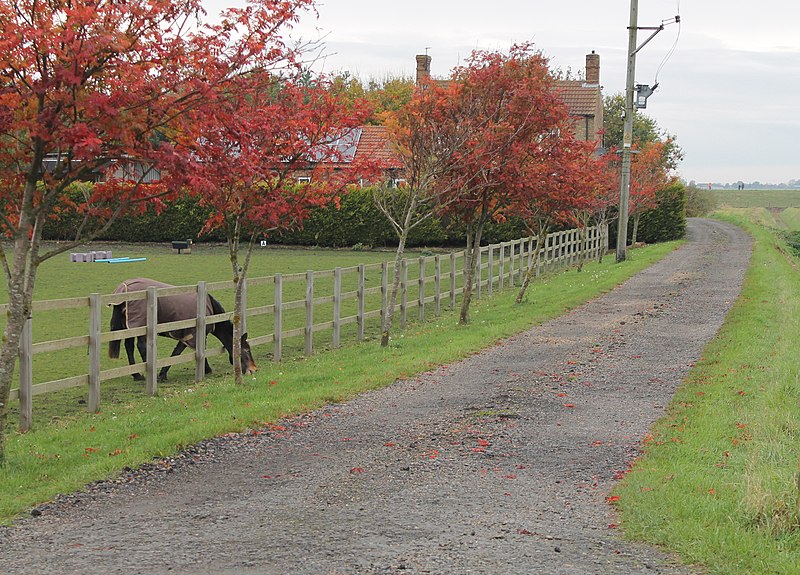 File:Road to Pitts Farm - geograph.org.uk - 3212243.jpg